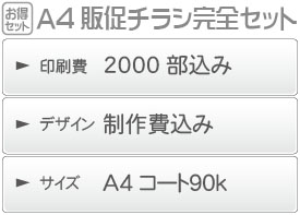 A4販促チラシ完全セット詳細